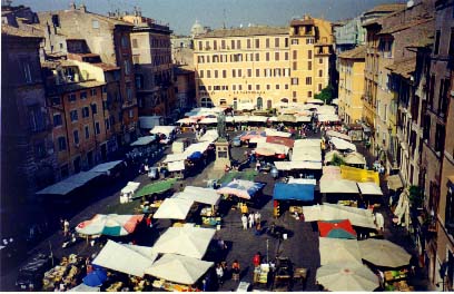 The Field of Flowers